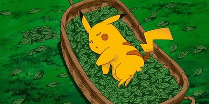 Pikachu sleeping